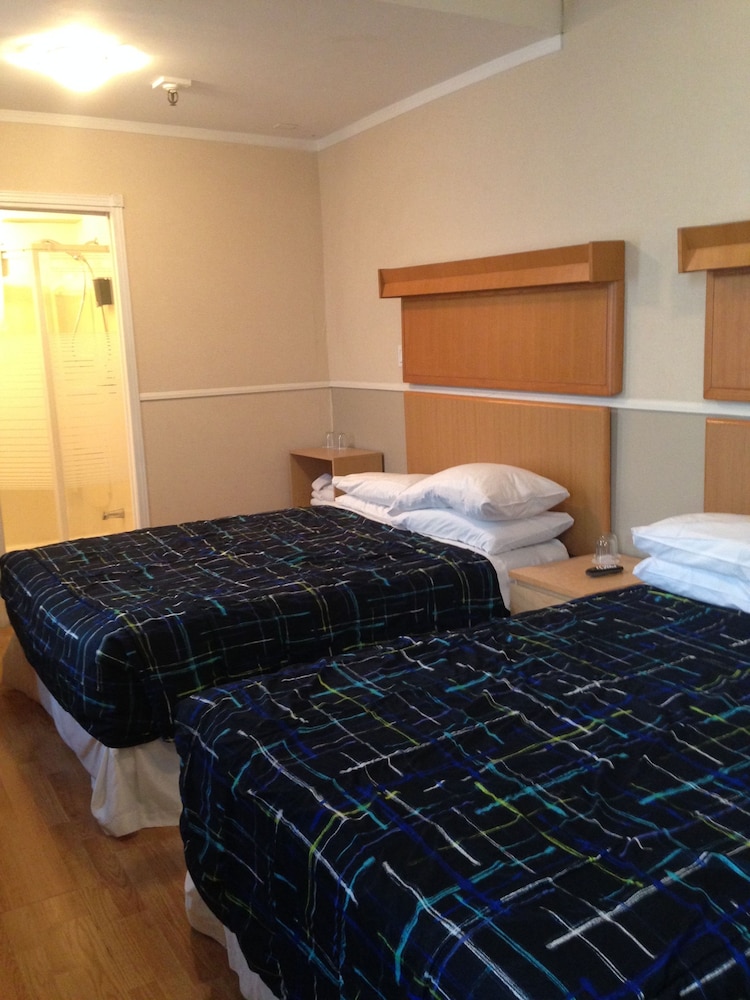 The Rex Hotel 21/71