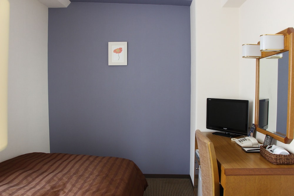 Ueno First City Hotel 43/50