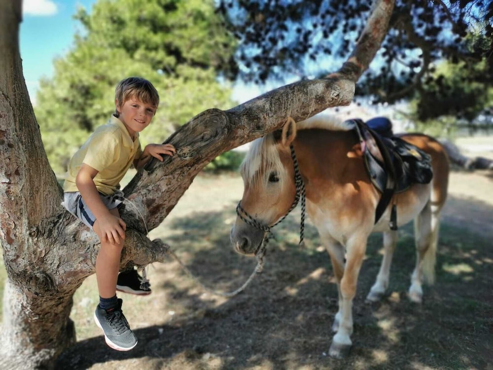 Horse Country Resort Congress & Spa 24/50