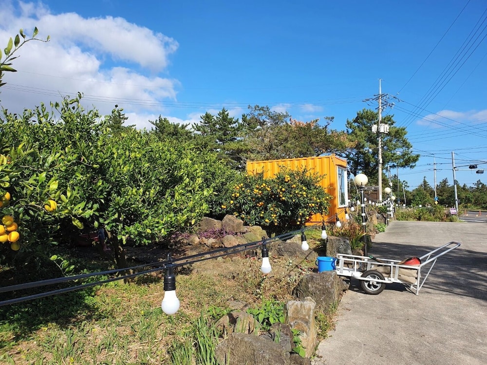 Jeju Meomuri 41/50