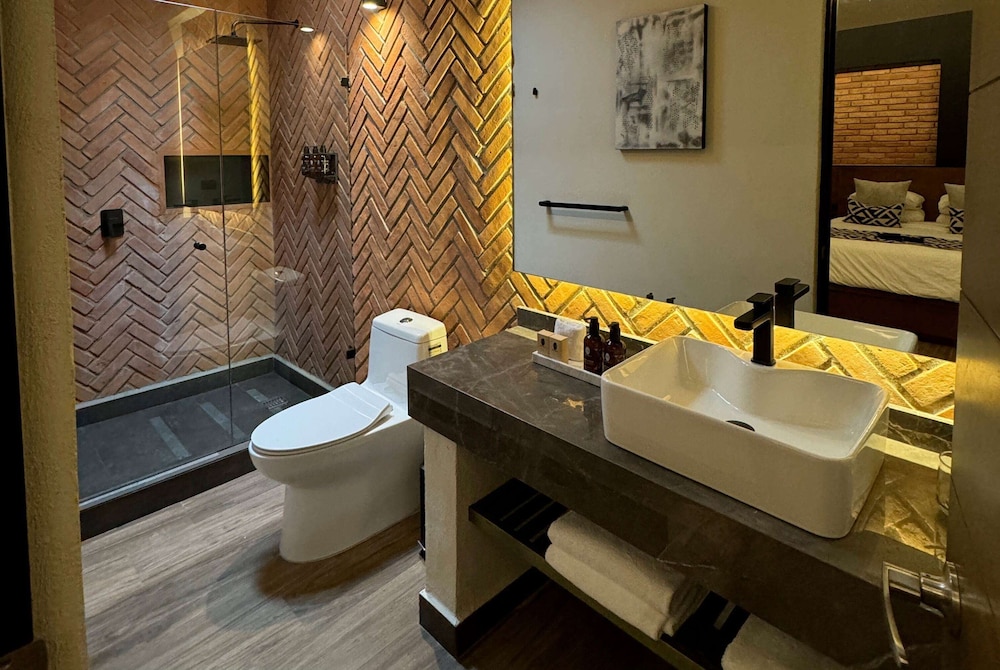 Esplendor by Wyndham San Luis Potosi Monarca 49/54