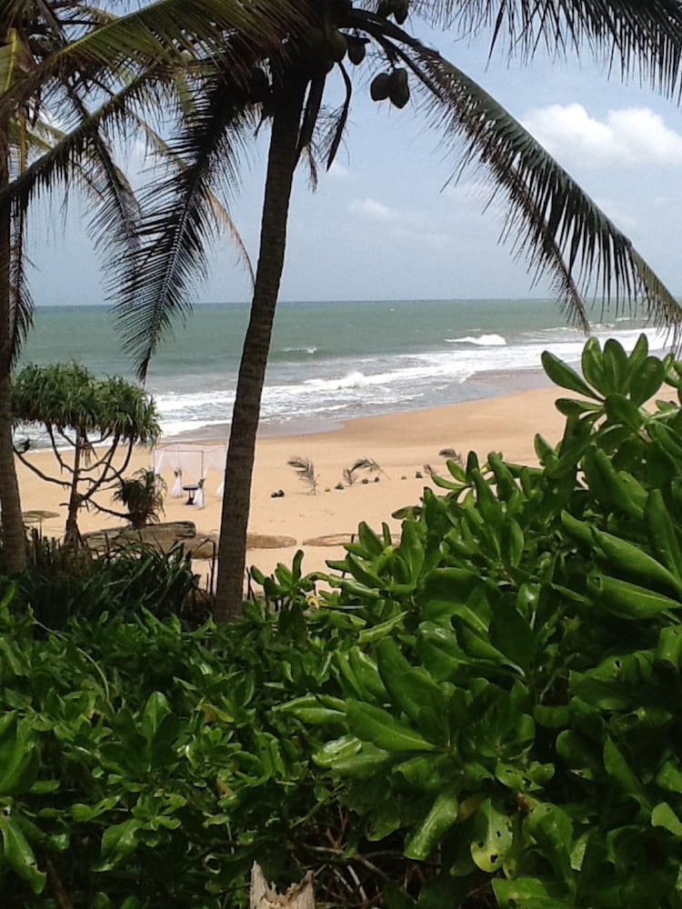 Turtle Bay 31/50