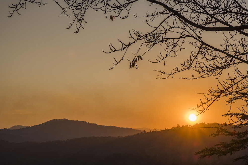 Phu Chaisai Mountain Resort 39/50