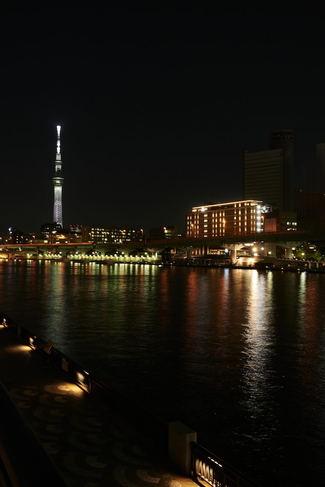THE GATE HOTEL RYOGOKU by HULIC 36/50