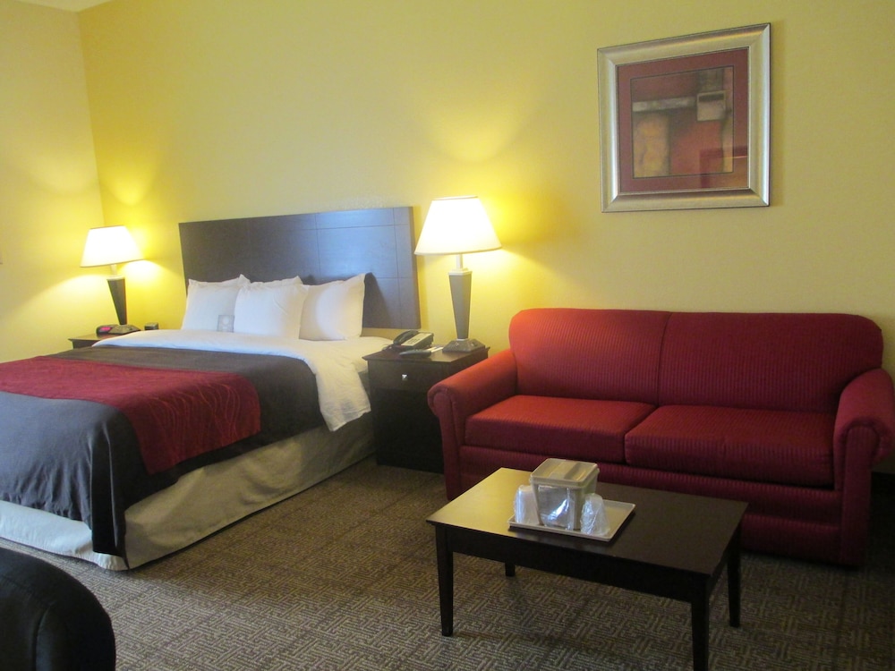 Comfort Inn and Suites Thomson 23/36