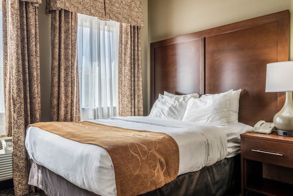 Comfort Suites Near Texas State University 13/32