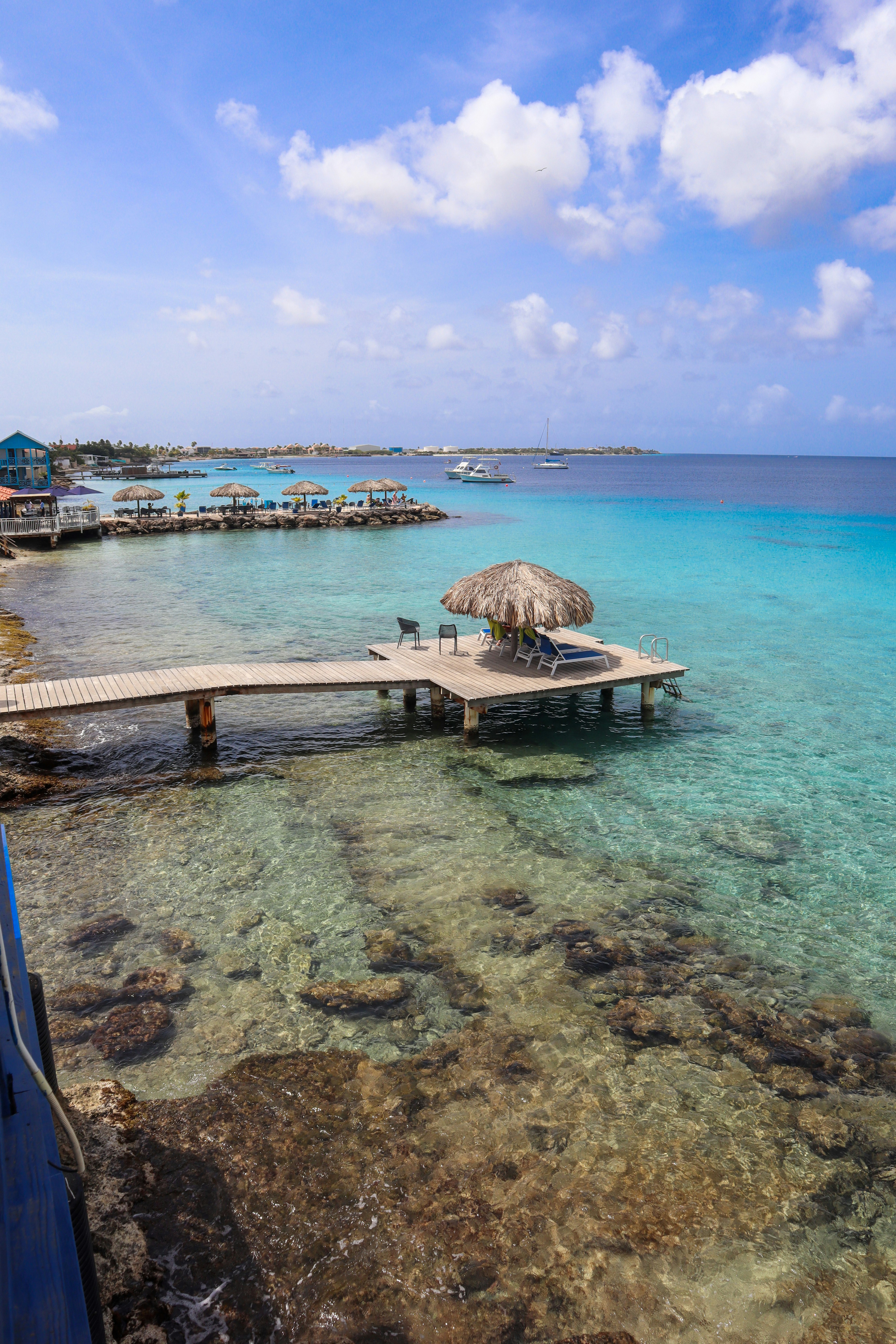 Divi Flamingo Beach Resort 30/47