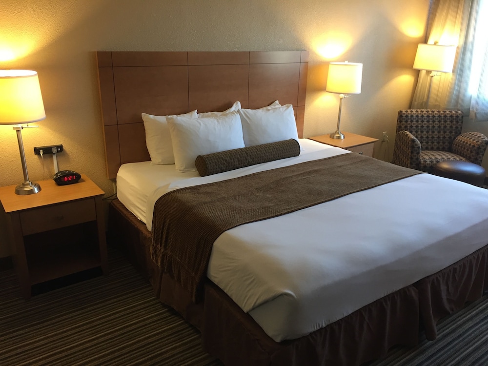 Best Western Plus Reading Inn & Suites 18/37
