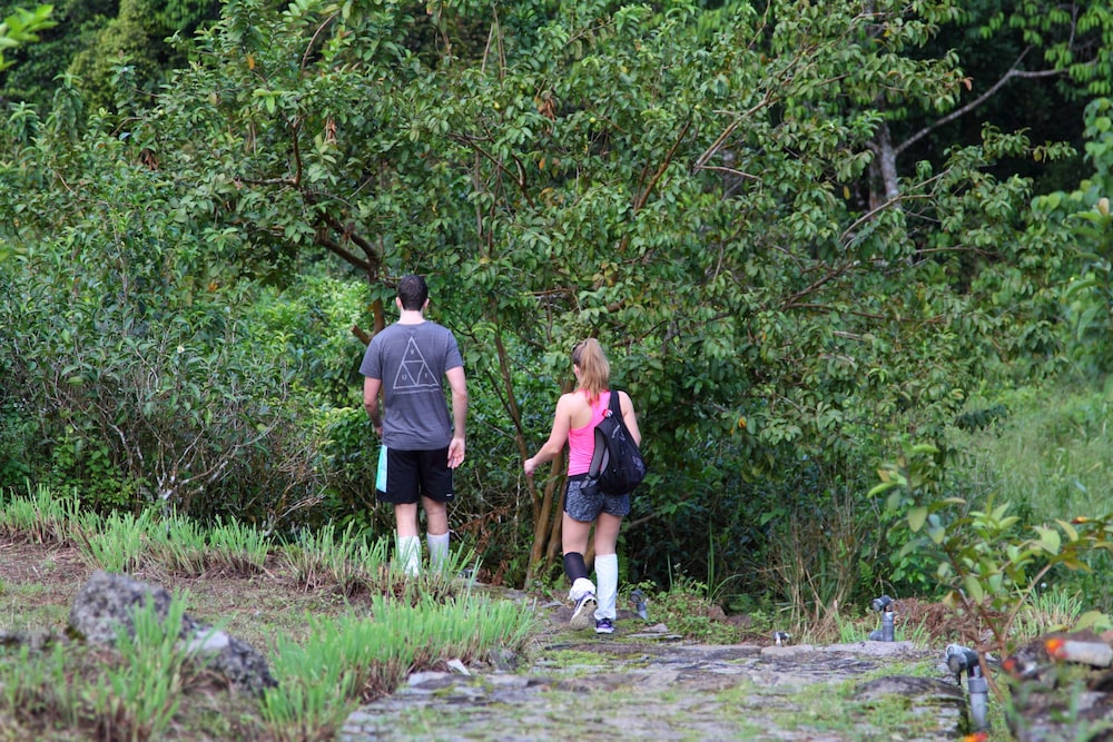 Rainforest Eco Lodge 31/41