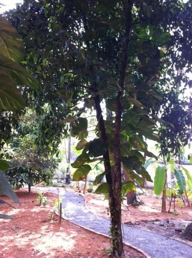 PALM GROVE SERVICE VILLA 39/48
