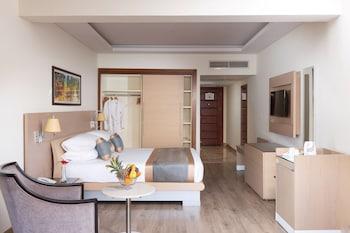 Semi Room, Triple, Semi Double Bed