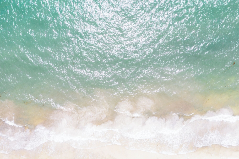 Olas Tulum 42/56