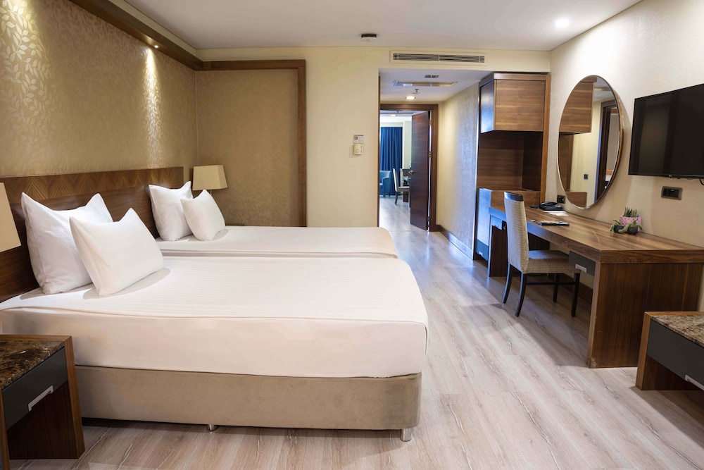 Dedeman Konya Hotel & Convention Center 31/72