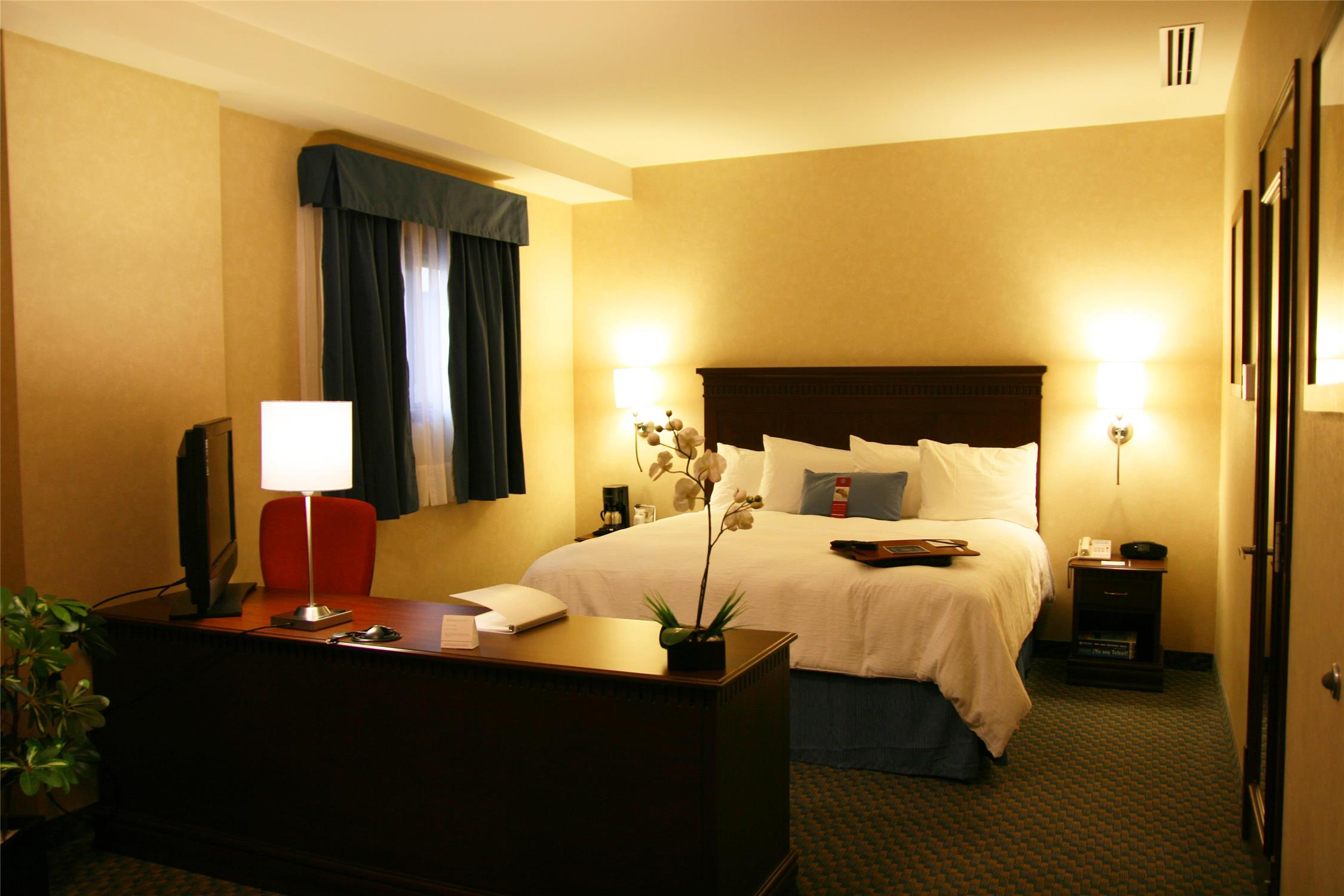 1 Bedroom, Suite, King Bed, Sofa