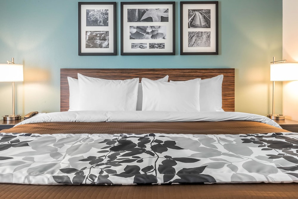 Sleep Inn & Suites Cumberland 9/53