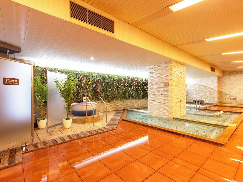 HANAMAKI ONSEN HOTEL SENSHUKAKU 32/46