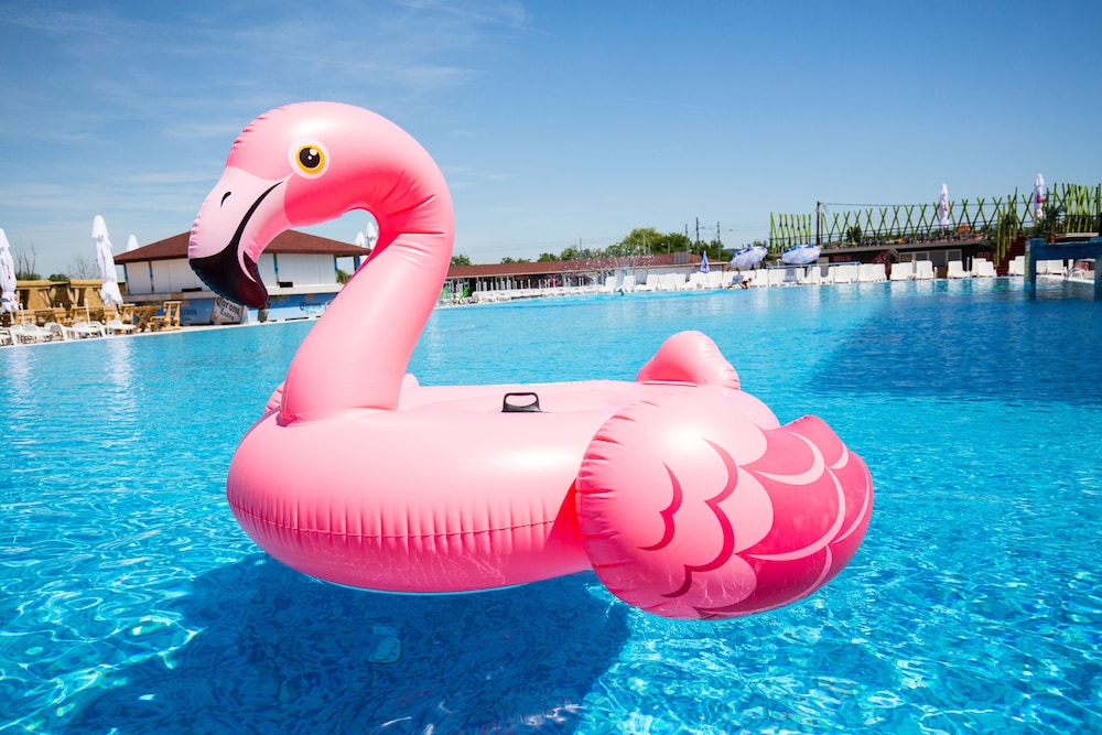 Flamingo Resort 39/43