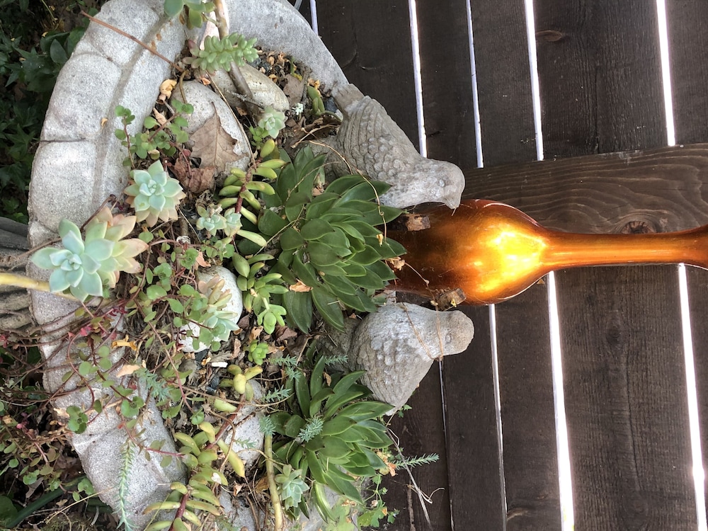Glen Ellen Inn 41/62