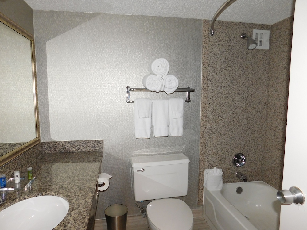Radisson Hotel Fort Worth North-Fossil Creek 15/52