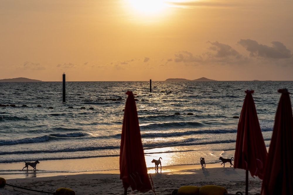 Xanadu Beach Resort 48/50