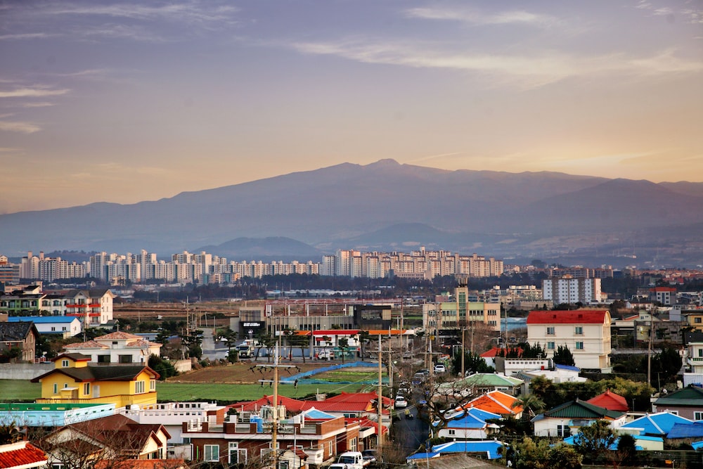Odri Inn Jeju 56/58