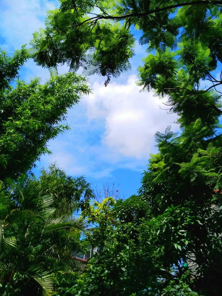 surroundings