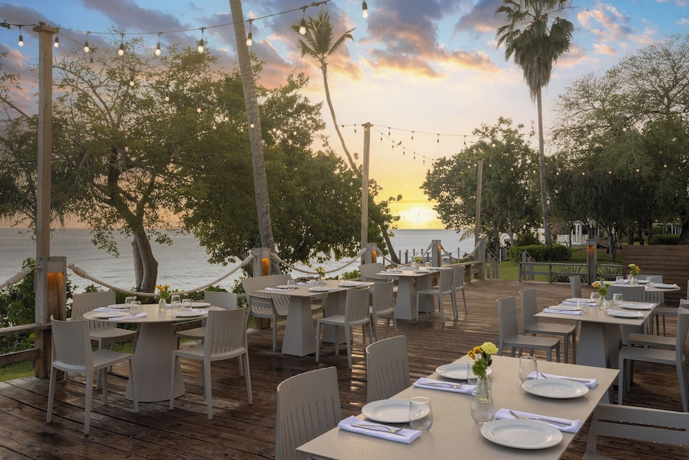 Dreams La Romana All Inclusive Resort & Spa 40/57