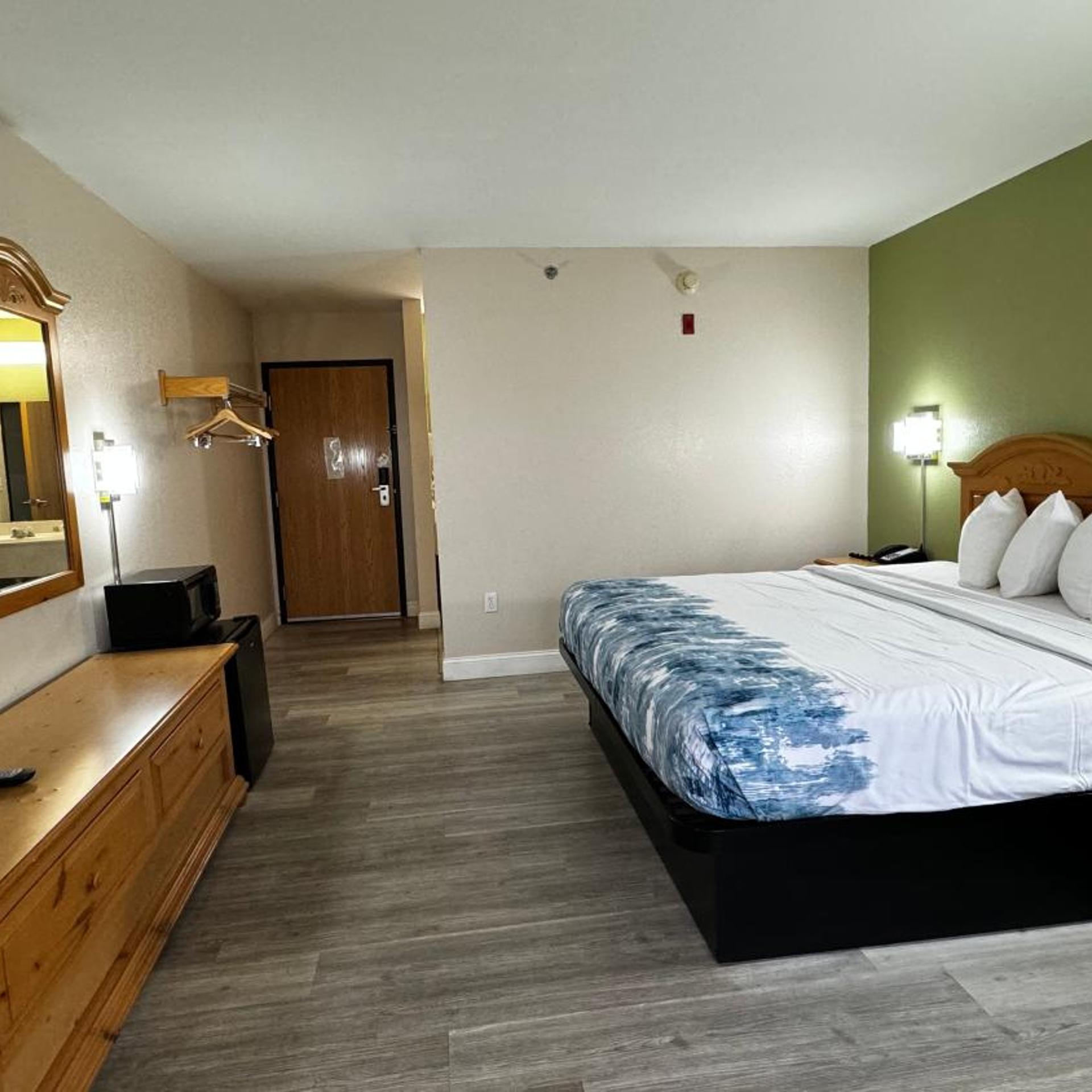 Room, King Bed