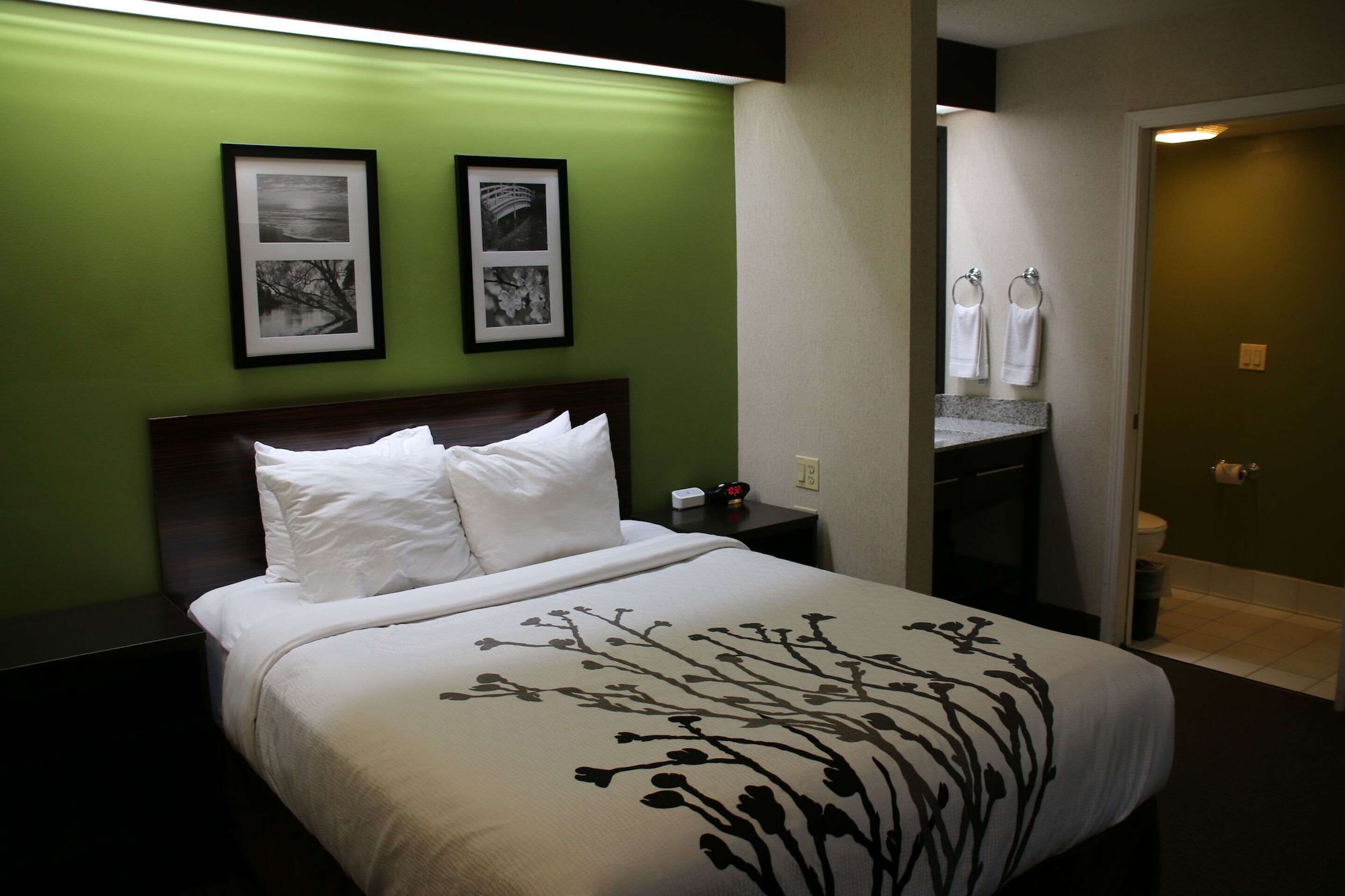 Standard, Queen Bed