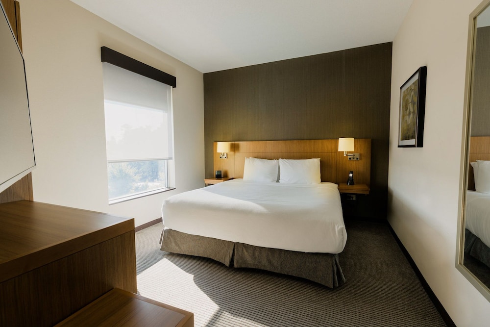 ROOM, KING BED, SOFA, HIGH FLOOR