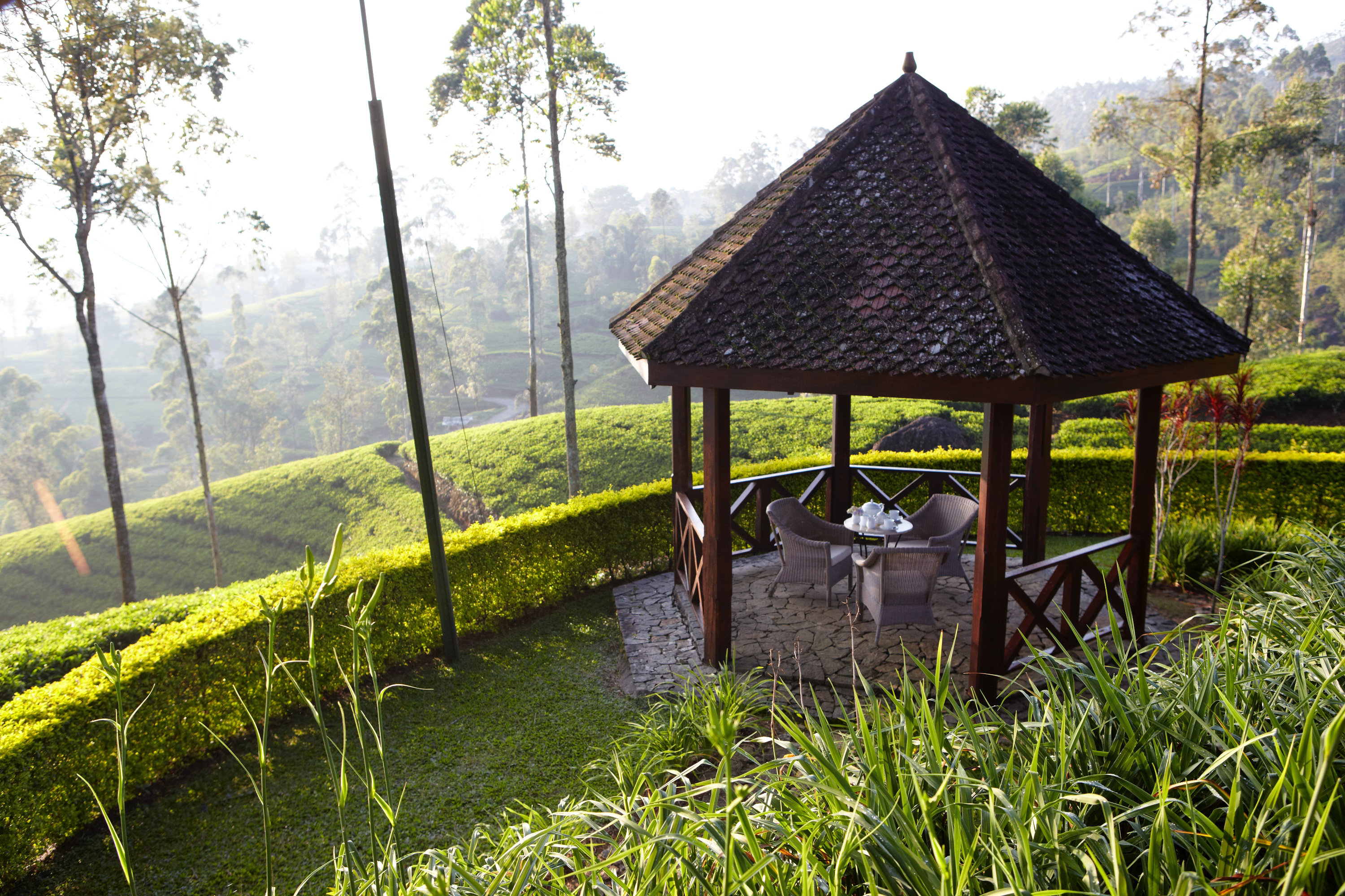 Tea Trails 31/43