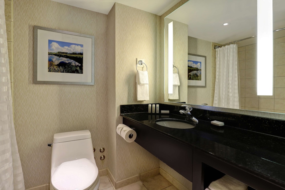 Embassy Suites By Hilton Niagara Falls Fallsview 26/52