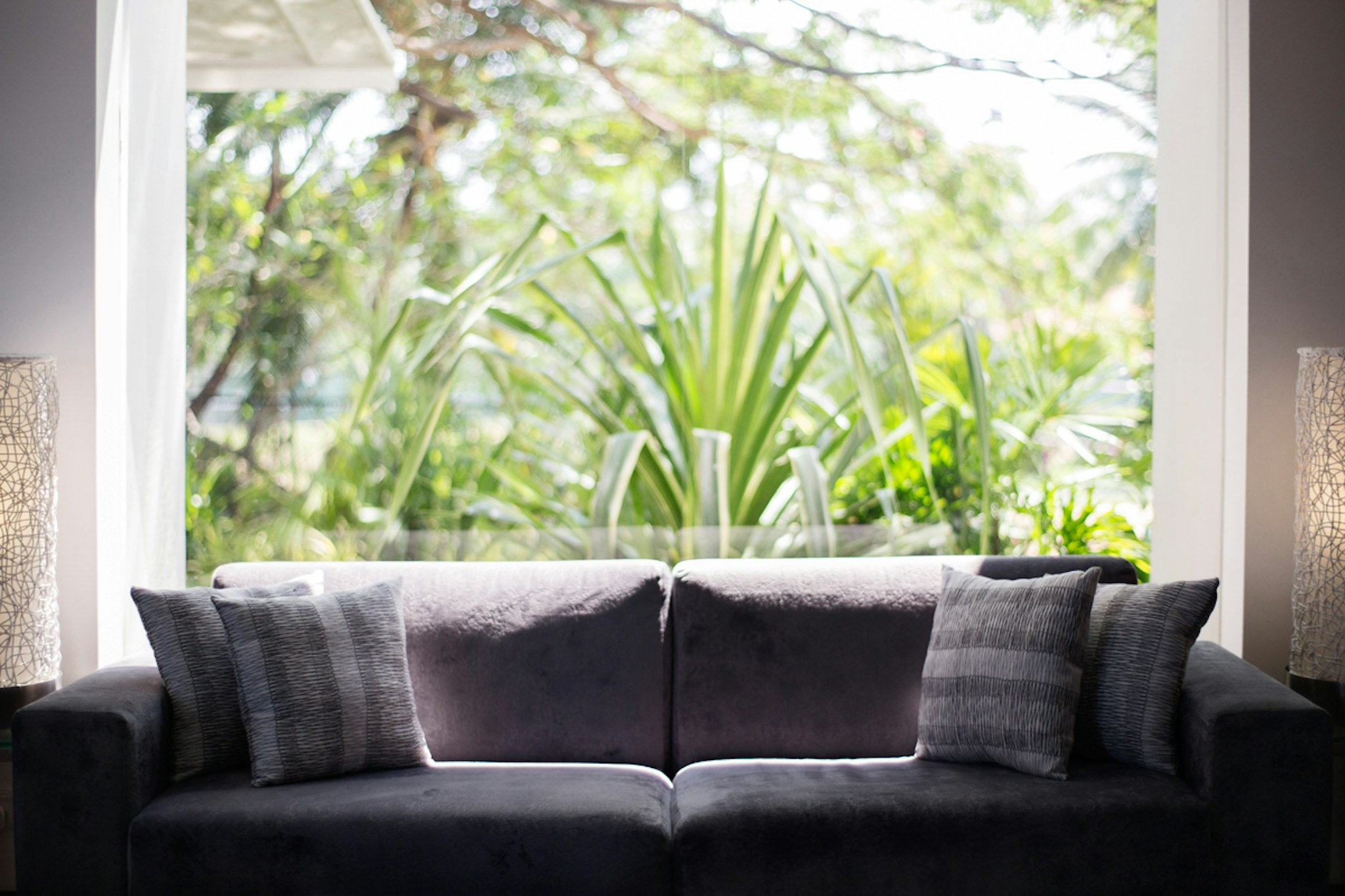 Vivanta Colombo Airport Garden 23/50