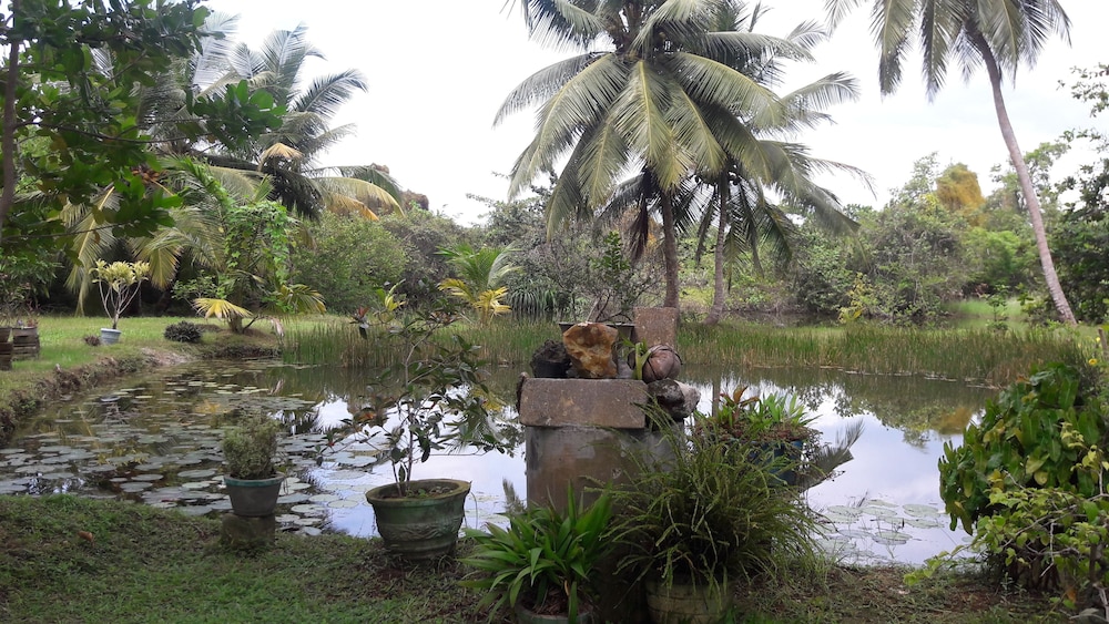 Lagoonvilla Hotel 15/16