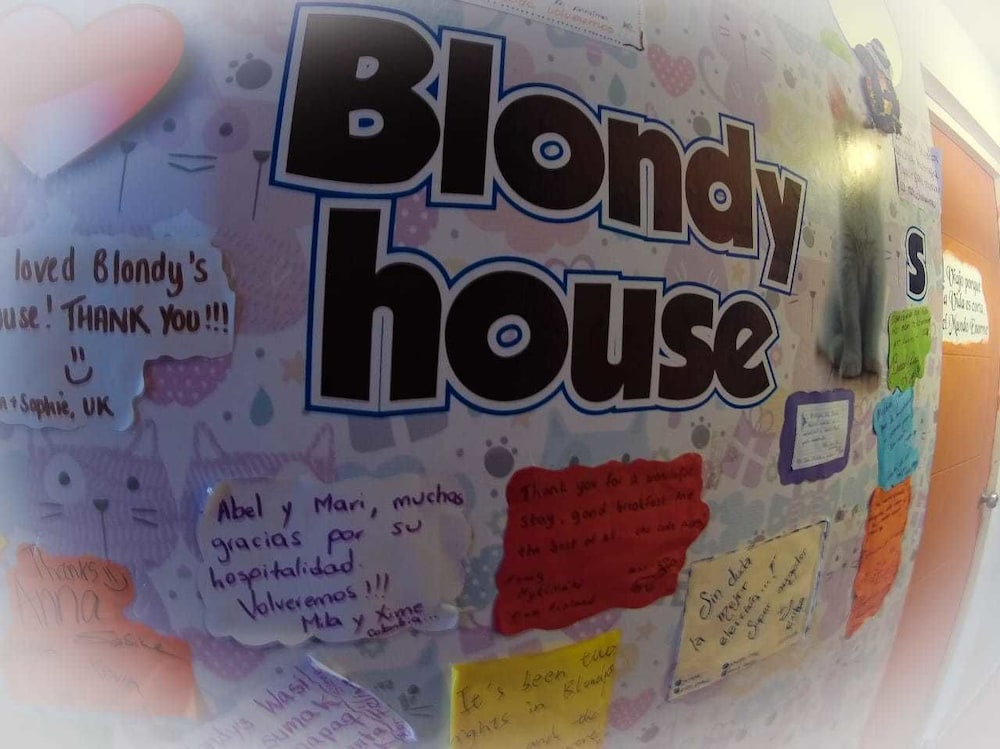 Blondys House 25/50
