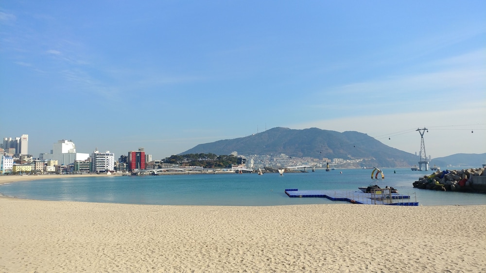Brown-Dot Songdo 40/44