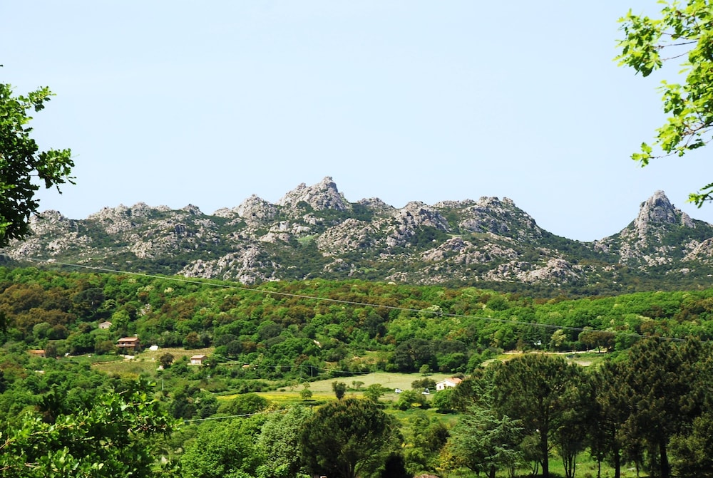 surroundings