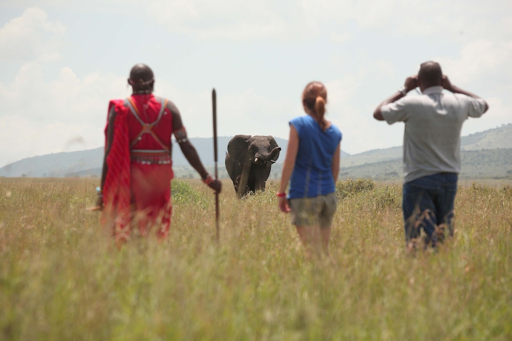 Sarova Mara Game Camp 38/50