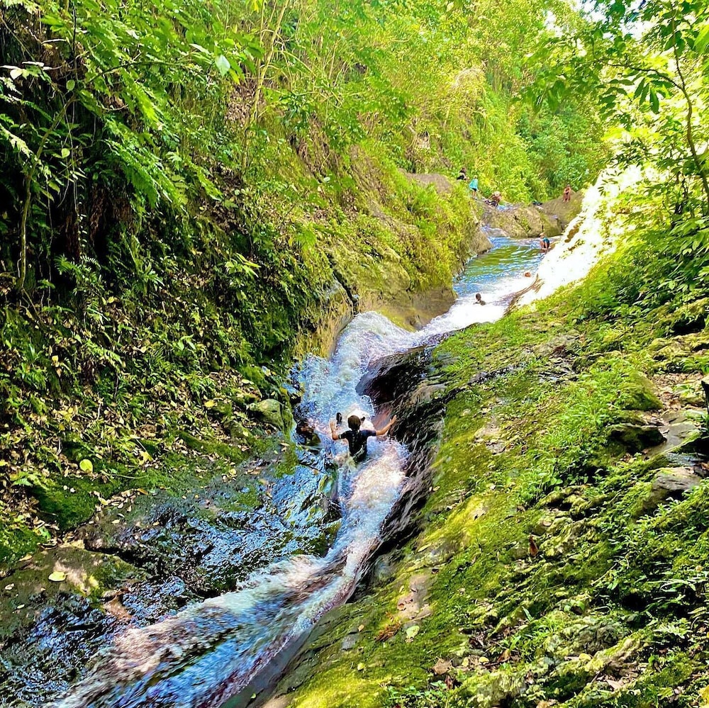 Taveuni Island Resort And Spa 38/50