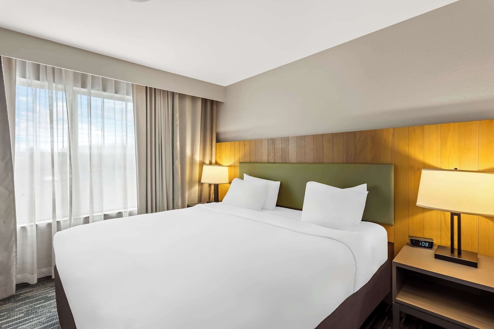 1 Bedroom, Suite, King Bed