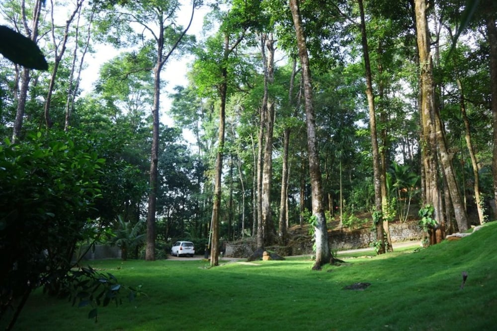 BLUE GINGER WAYANAD RESORTS 32/50