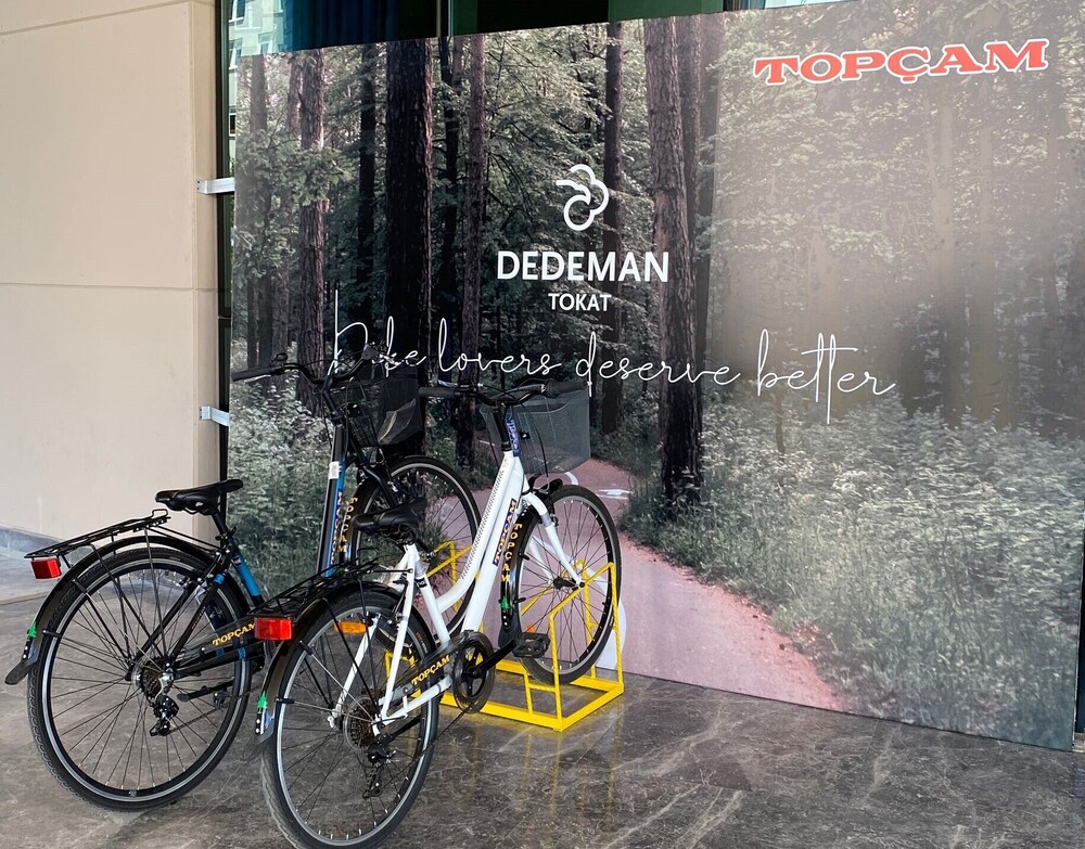 Dedeman Tokat 53/60