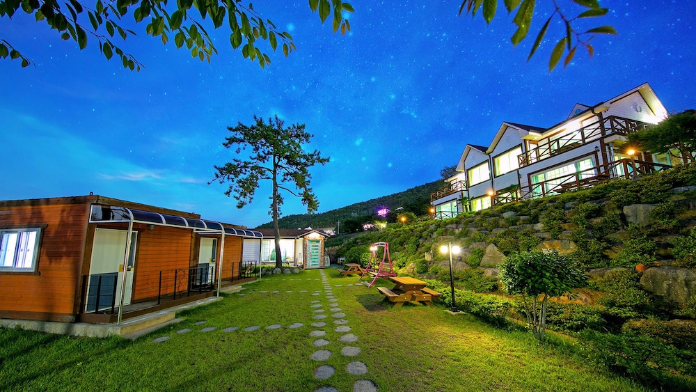 Hanulbora Pension 38/50