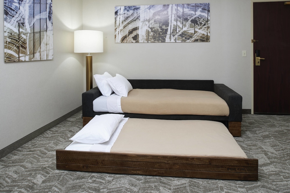 SpringHill Suites by Marriott Frankenmuth 10/20