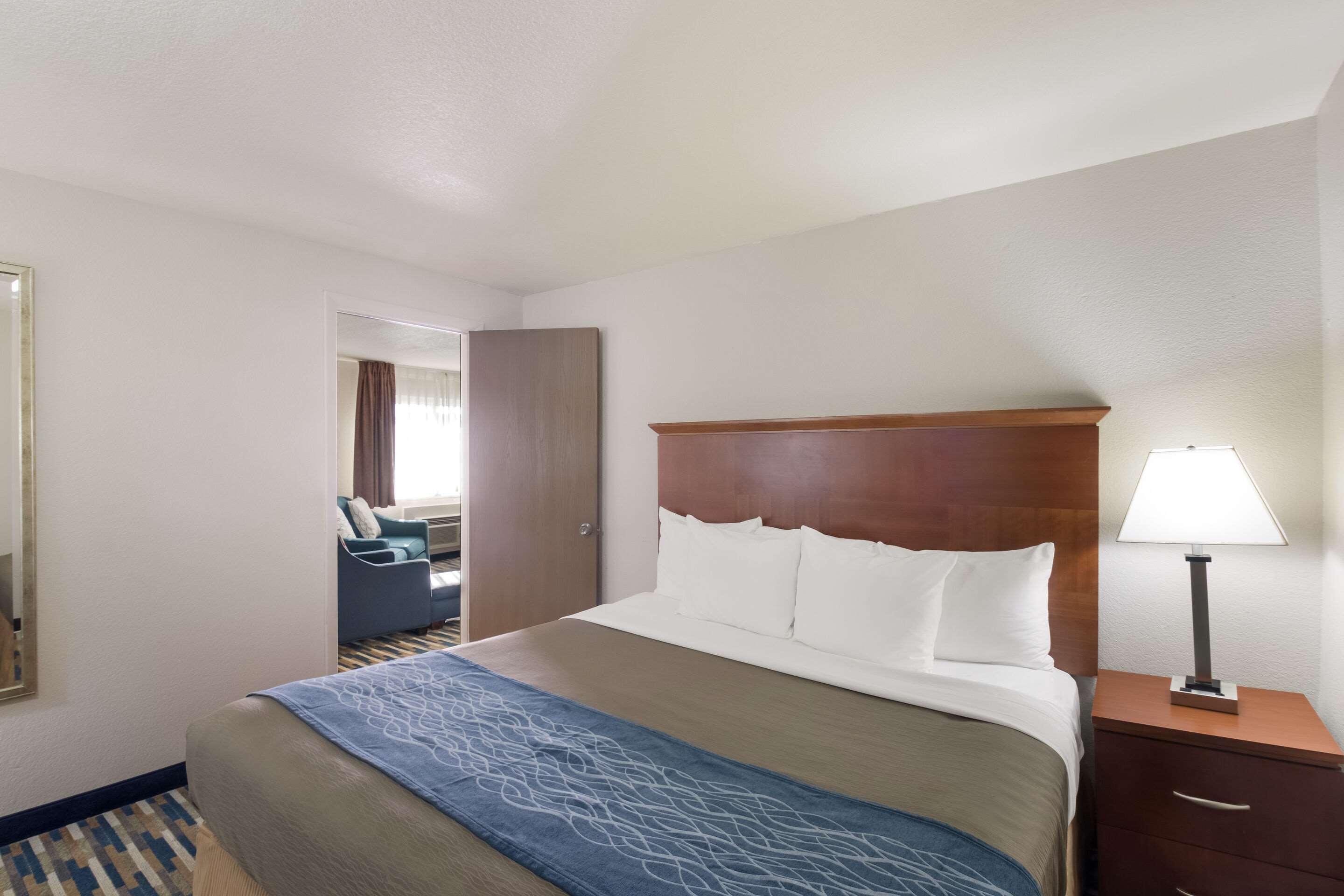 Suite, King Bed