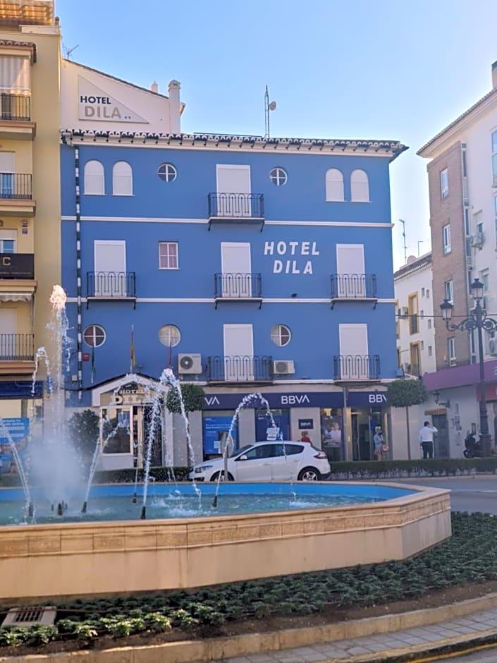 HOTEL DILA 1/50
