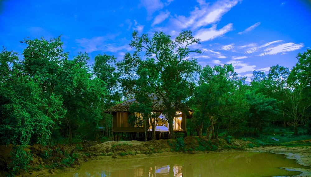 Yala Safari Camping 31/50