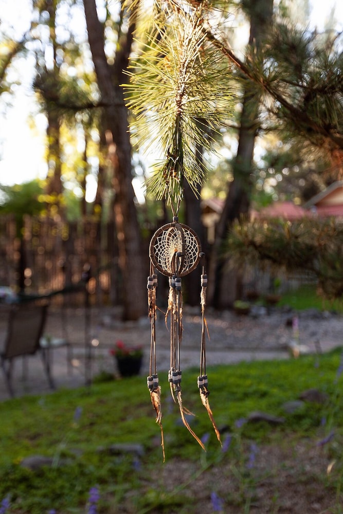 Dreamcatcher Bed And Breakfast 30/75