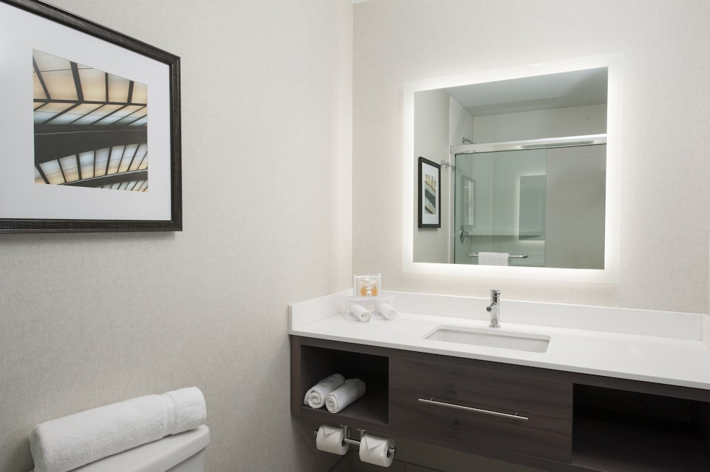 Holiday Inn Cleveland Clinic 21/64