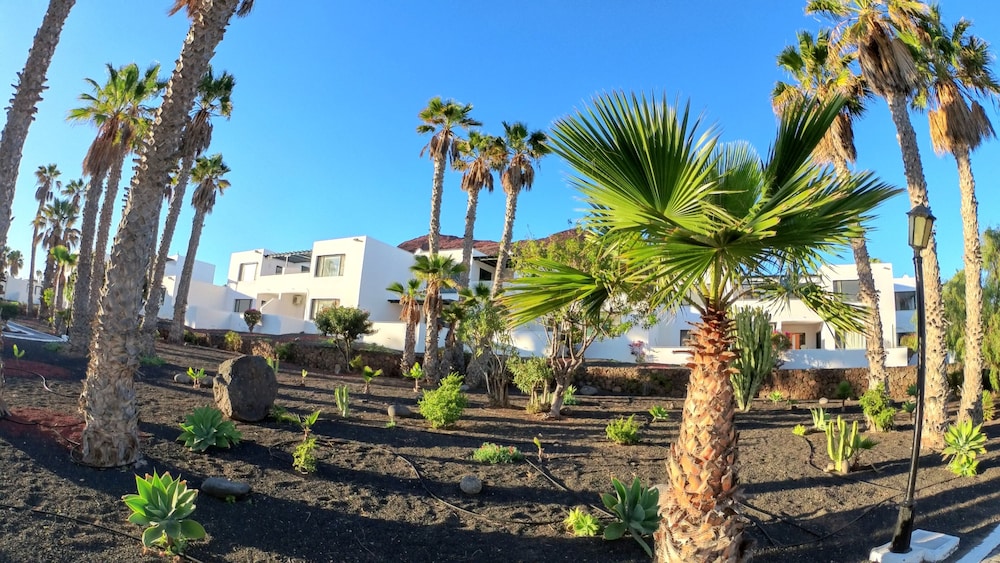 Palmeras Garden 58/62
